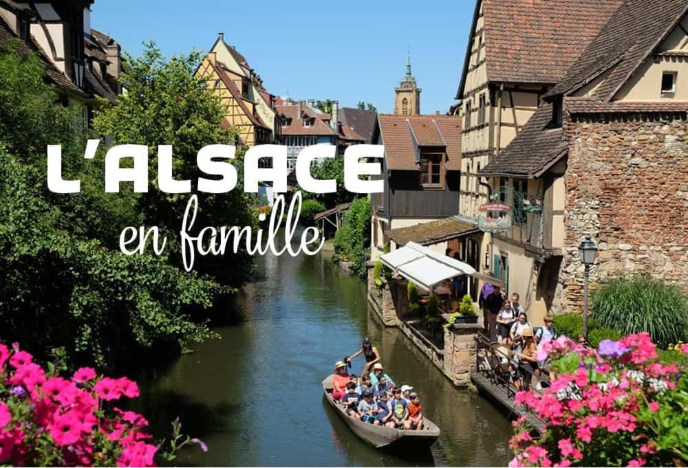 Gîte Le Villois à Villé Centre Alsace Exterior foto