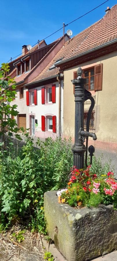 Gîte Le Villois à Villé Centre Alsace Exterior foto